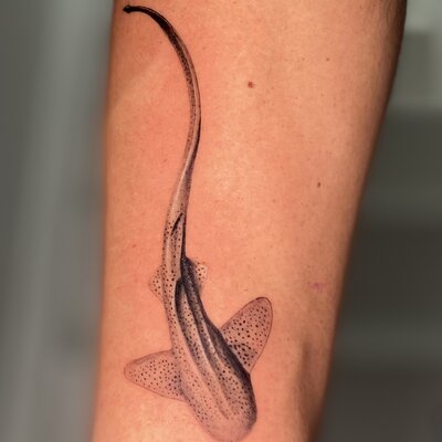 Fine line realism leopard shark tattoo with detailed spotting by Reni Tattoo Gold Coast